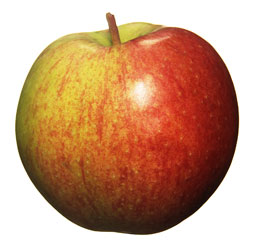 Äpple
